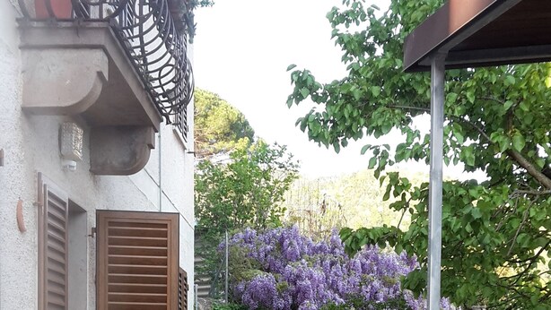 A stone-paved courtyard with a wooden door, potted plants, and purple flowering bushes. - Gessy's (Lucca)