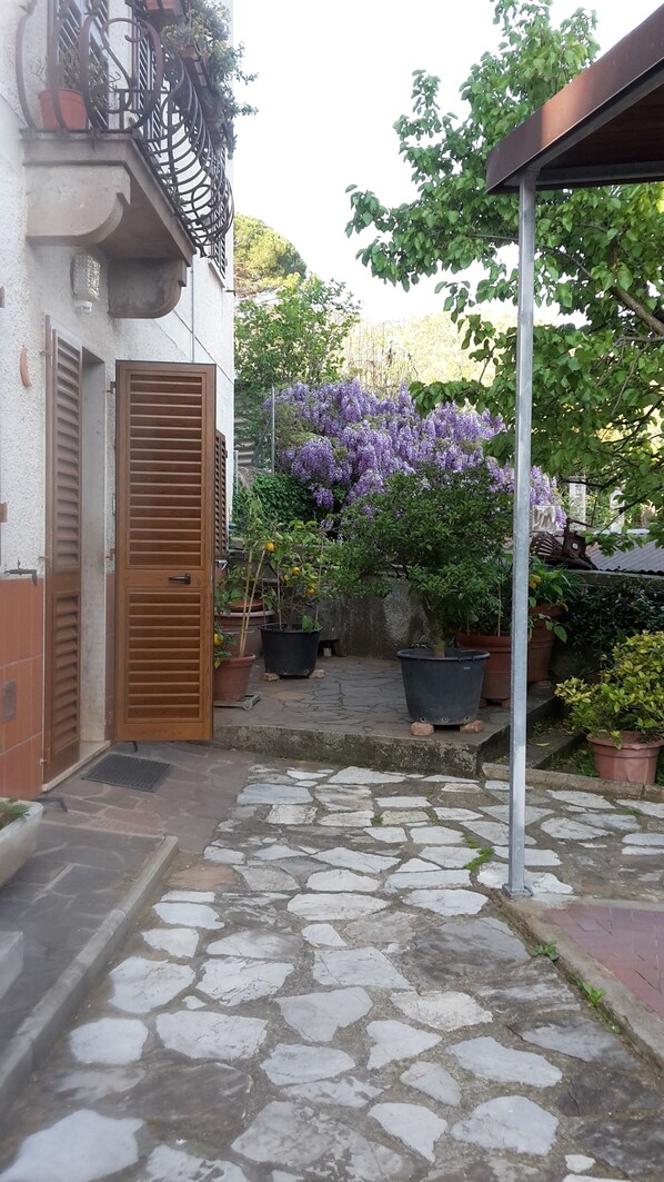 Exterior - Gessy's (Lucca)