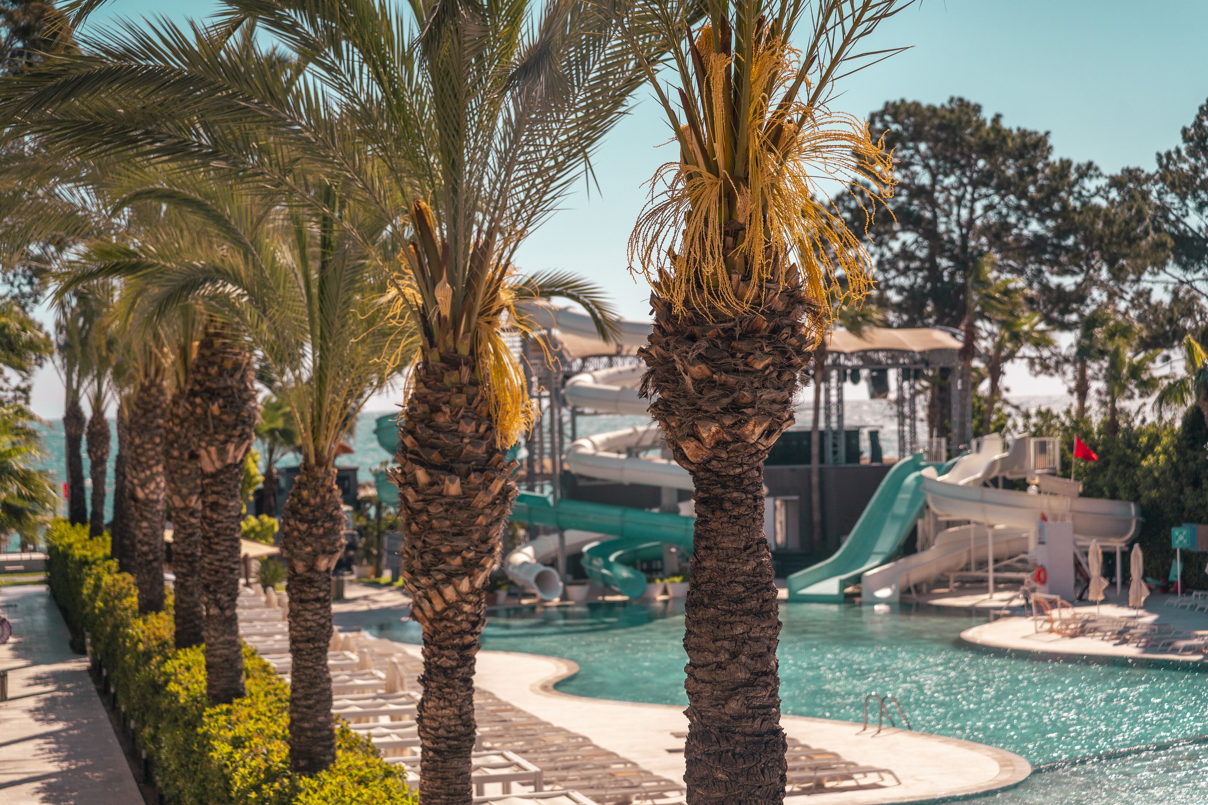 indoor pool, outdoor pool, pool umbrellas, pool loungers