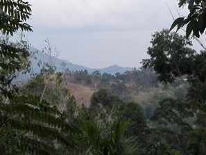 วิวจากที่พัก