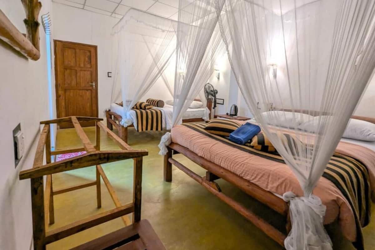 A room with a bed under a mosquito net, a wooden bench, and a door.