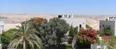 A residential area with stone buildings, a palm tree, and flowering plants.