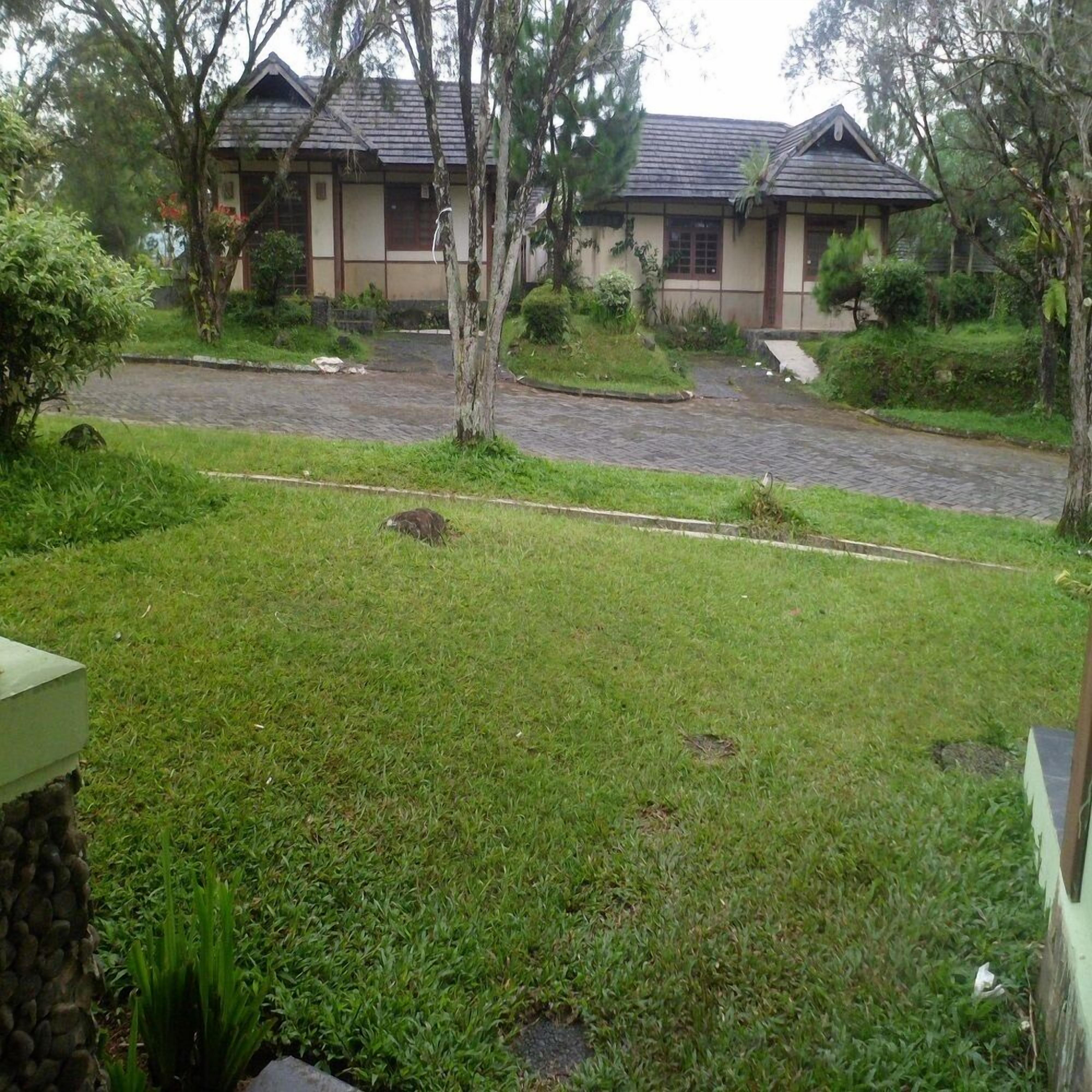 House, 3 Bedrooms | Terrace/patio