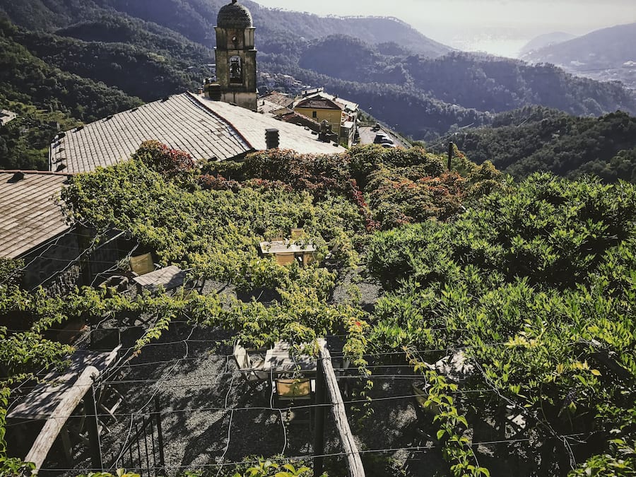 Vista desde la propiedad