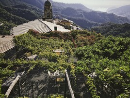 Vista dalla struttura