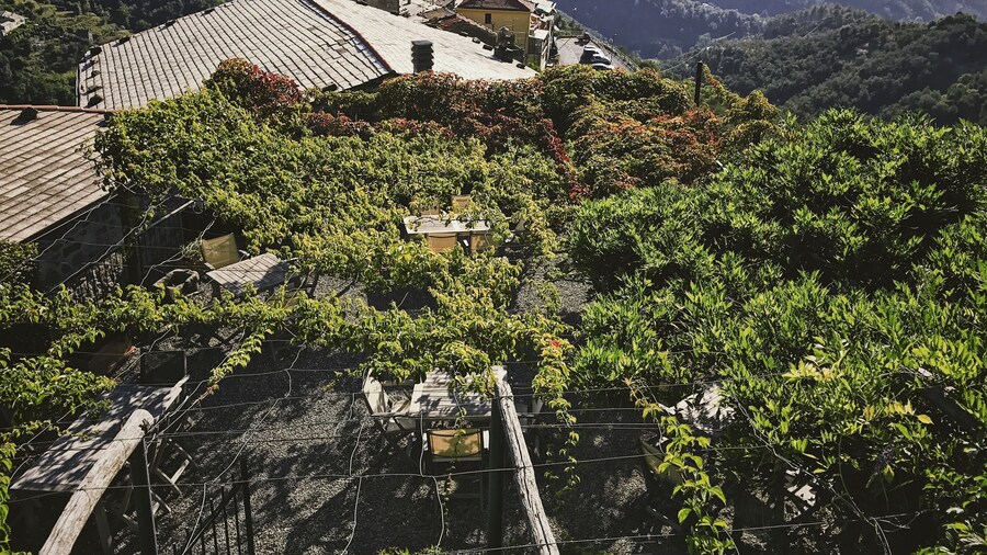 La Sosta di Ottone III