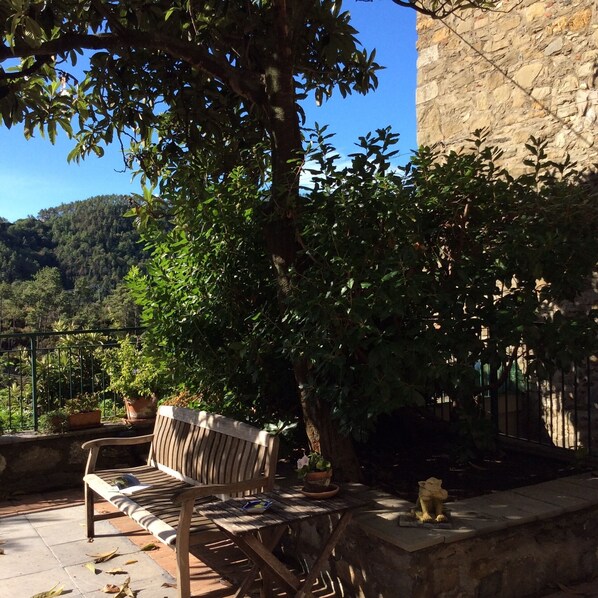 Garden view