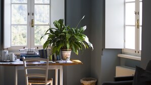 Uklassifisert bilde, 5 av 48, knapp