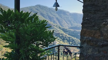 Vista dalla struttura