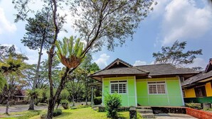 A green house with a tiled roof, surrounded by a garden with purple flowers and a large tree. - Villa Kota Bunga Allamanda (Cipanas)