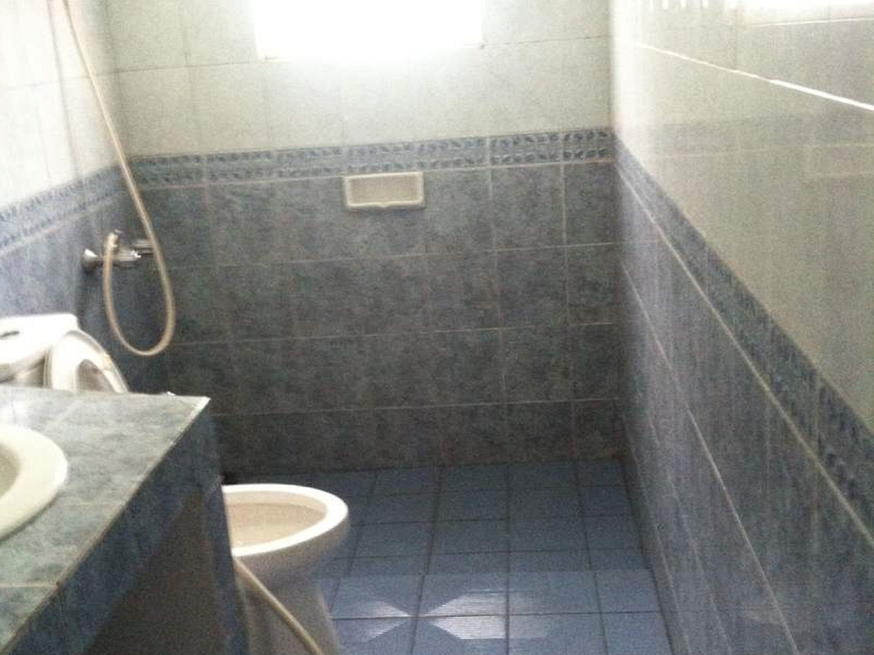 A small bathroom with a toilet, a sink, and a shower.