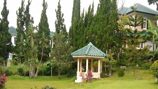 Un belvédère doté d’un toit végétalisé, entouré d’une végétation luxuriante et de grands arbres.