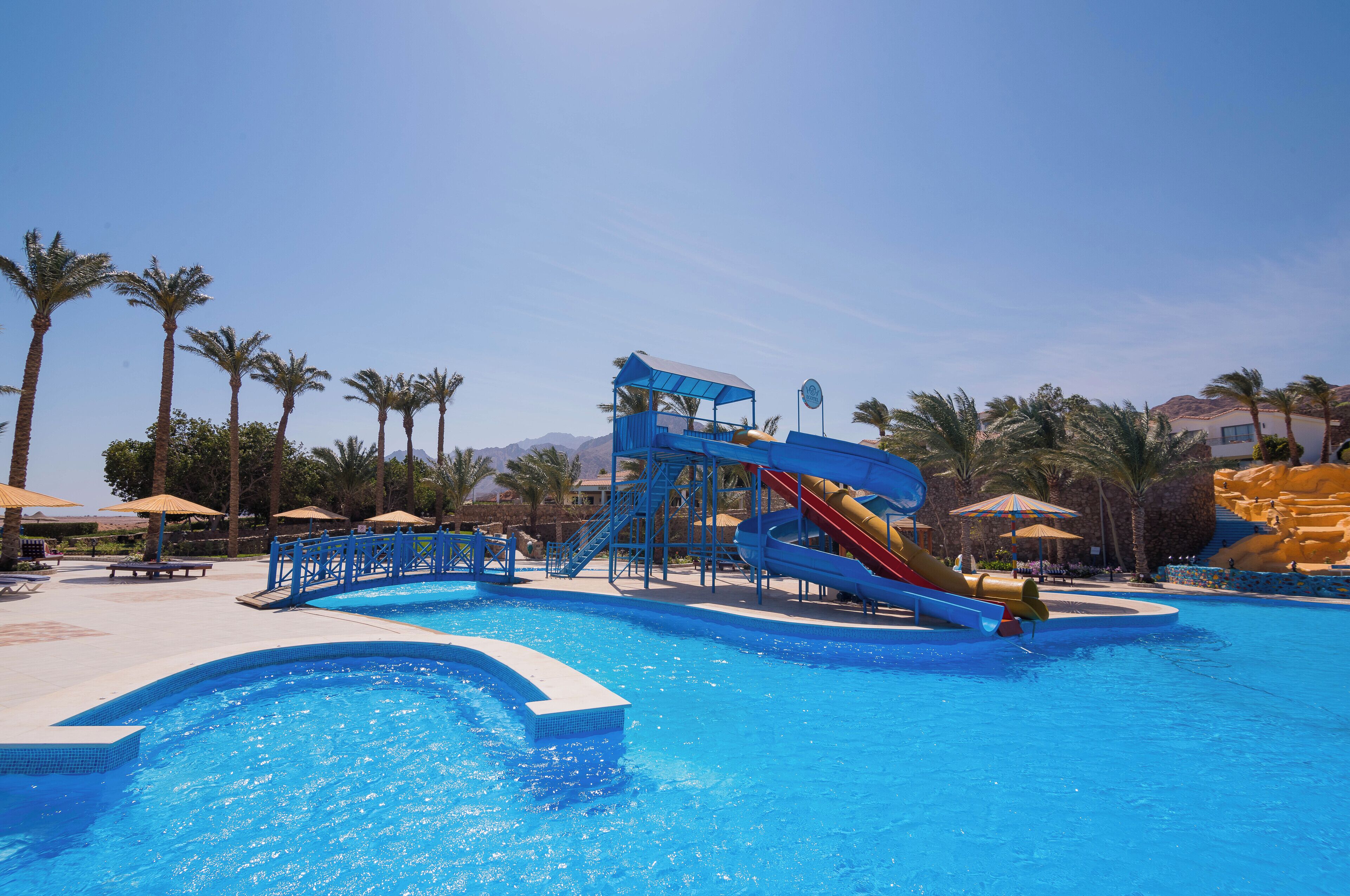 A swimming pool with a water slide and palm trees.