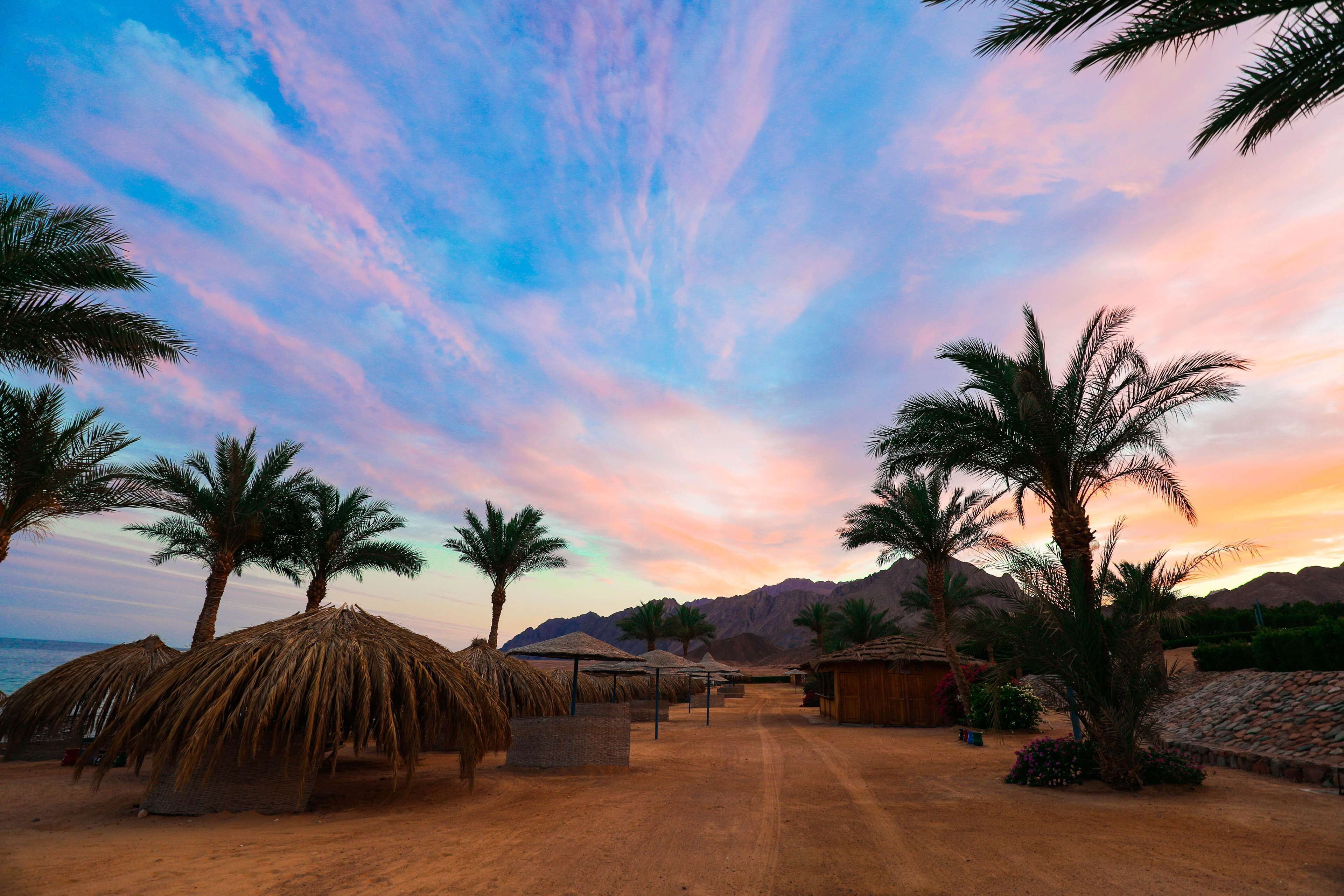 A desert landscape with palm trees, thatched-roof huts, and mountains in the background.