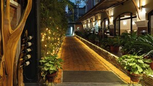A narrow, brick-paved pathway lined with potted plants and string lights, leading to a building with arched windows and outdoor seating. - Nepali Ghar Hotel, Thamel – Your Home in Nepal (Kathmandu)