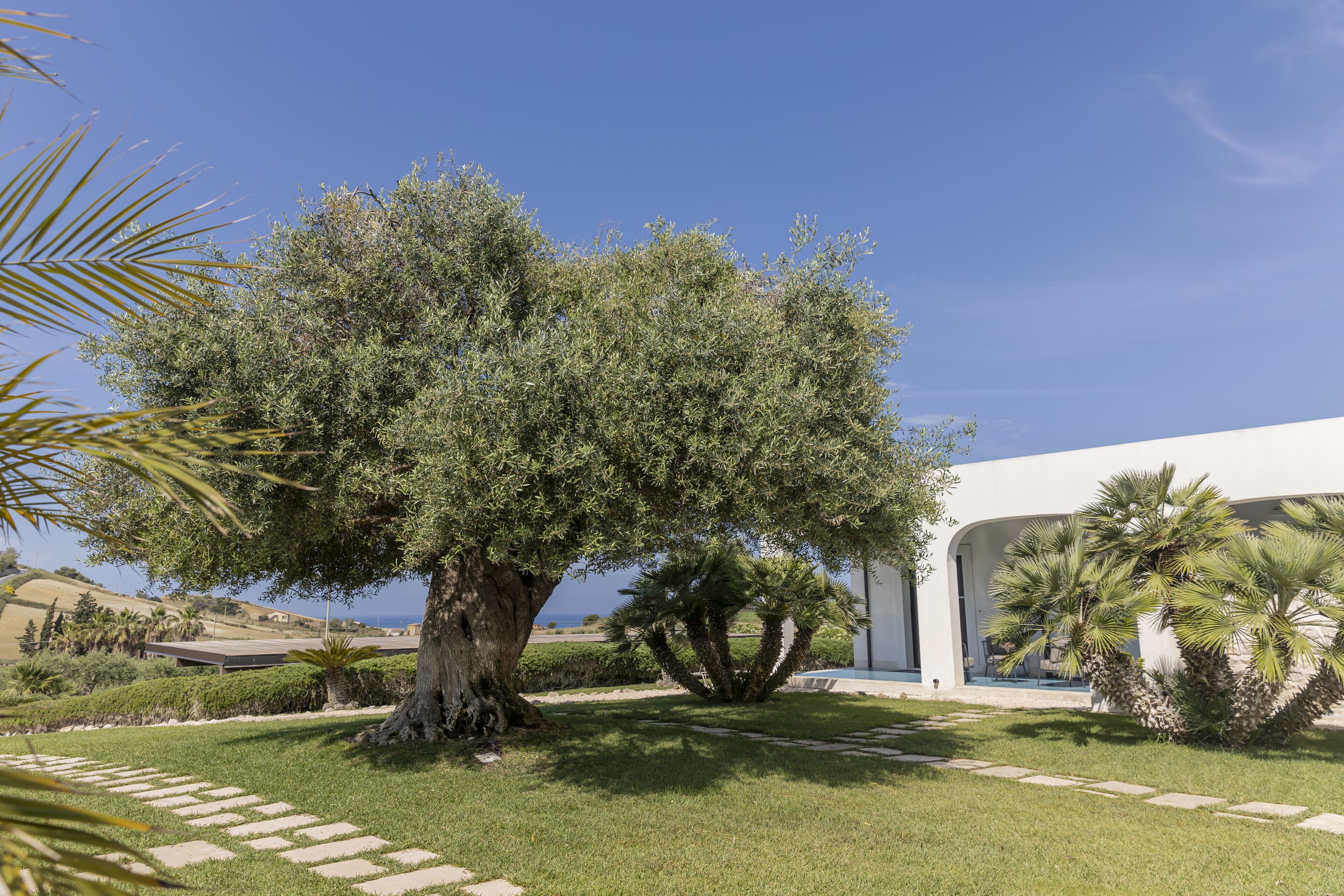 A modern building with a large tree in the foreground, a well-maintained lawn, and a clear blue sky.