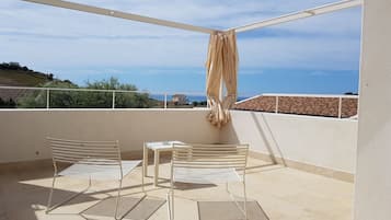Terras