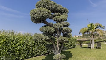 A well-maintained garden with a distinctive topiary tree, a palm tree, and neatly trimmed hedges.