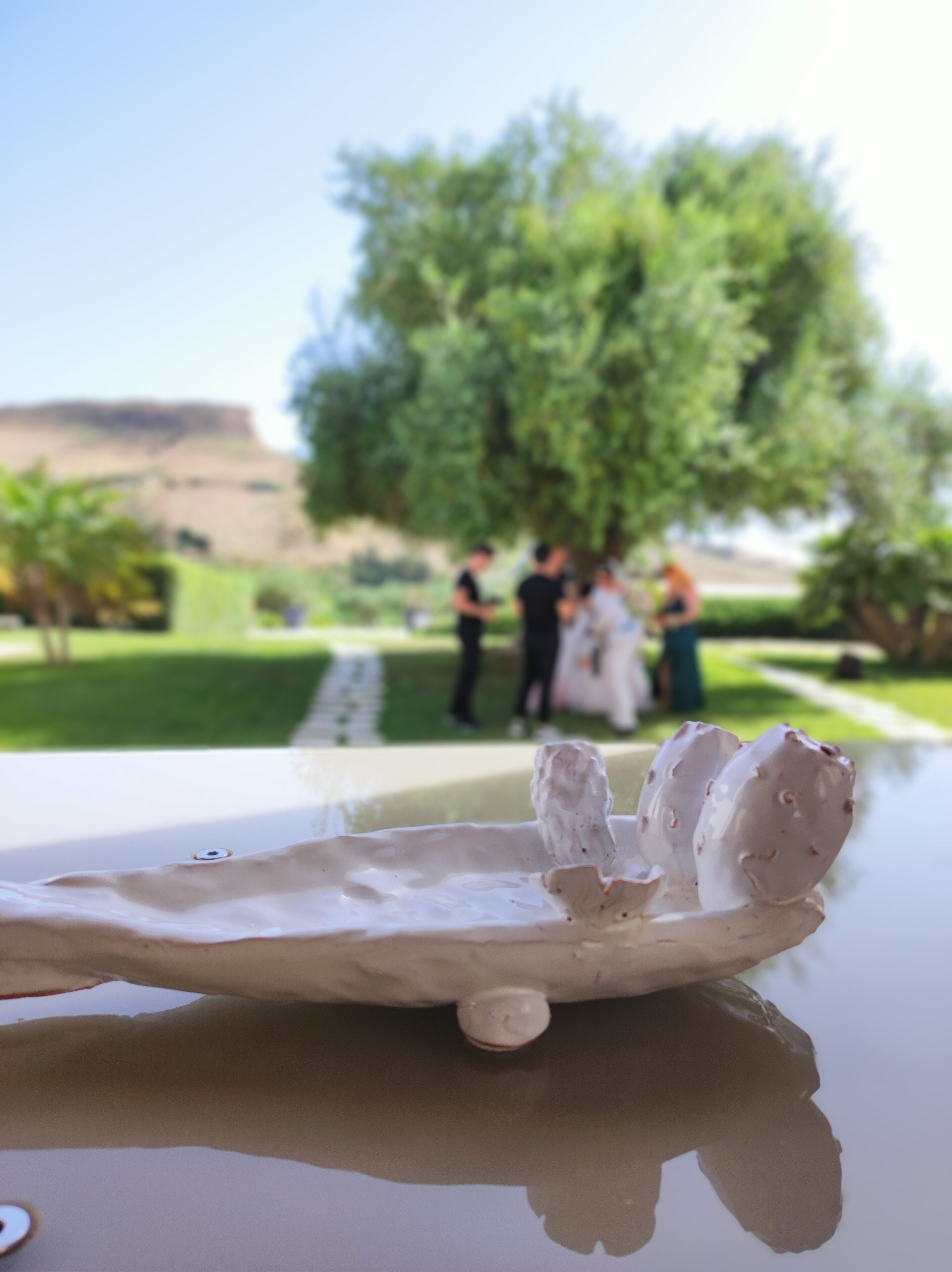 A close-up of a white ceramic object with a reflective surface, possibly a decorative item, with a blurred background of people and greenery.