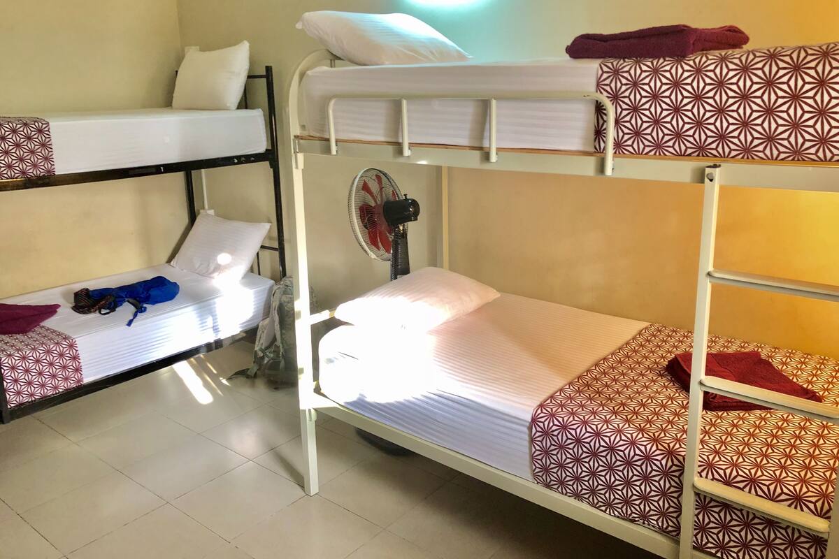 Shared Dormitory, Shared Bathroom (Non AC) | Premium bedding, in-room safe, desk, free WiFi
