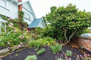 Garden - The Sanctuary Beach Side (Timaru)