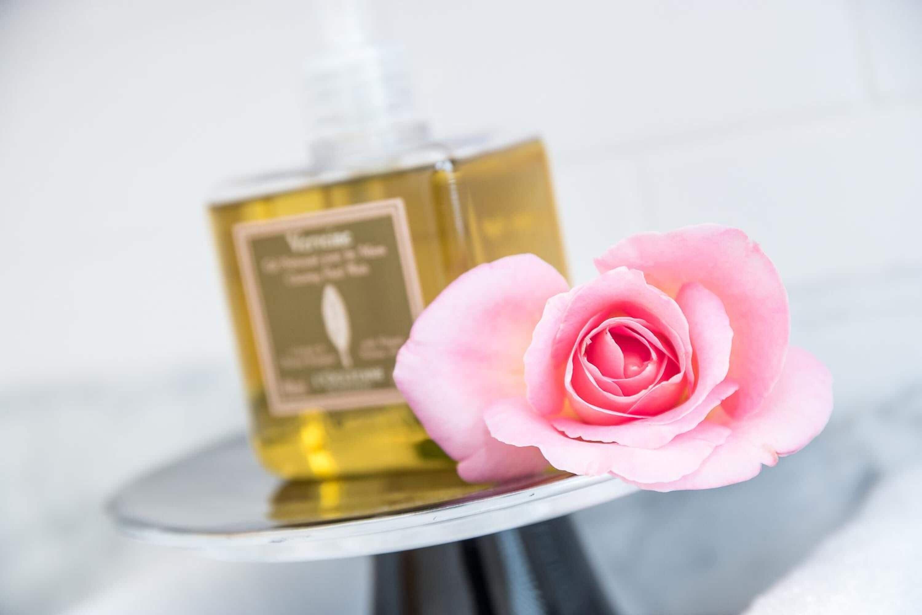 A perfume bottle and a pink rose on a reflective surface.