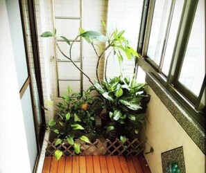 Un espacio interior pequeño con piso de madera, una planta en maceta y un ventanal.