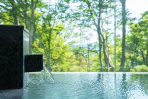 Bañera y ducha independientes, bañera con aguas termales