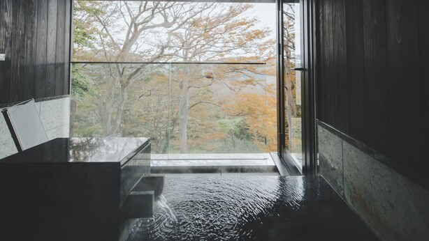A modern interior with a large glass window, a wooden bench, and a view of trees.