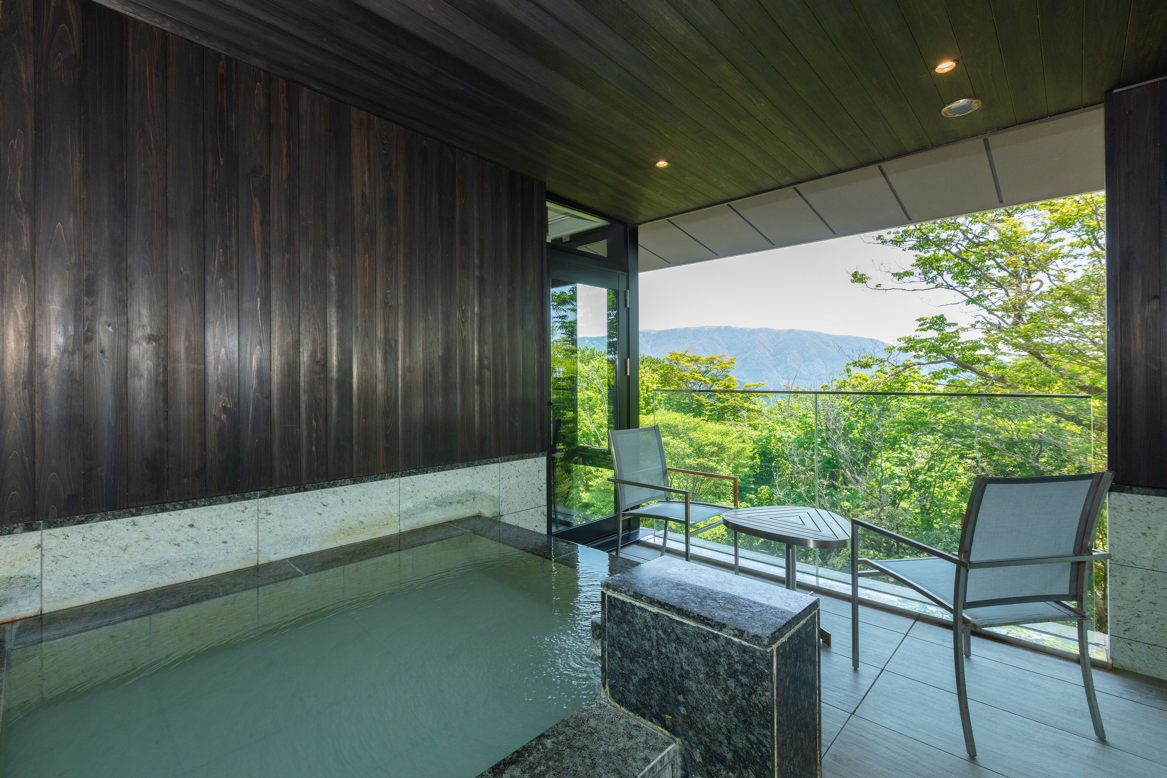 deluxe room | bathroom | separate bathtub and shower, spring water bathtub, free toiletries