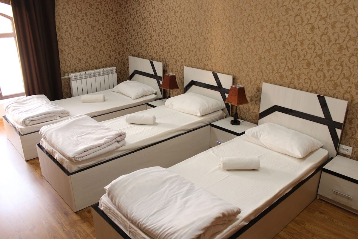 Standard Triple Room, City View