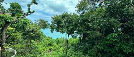 9 outdoor pools, pool loungers