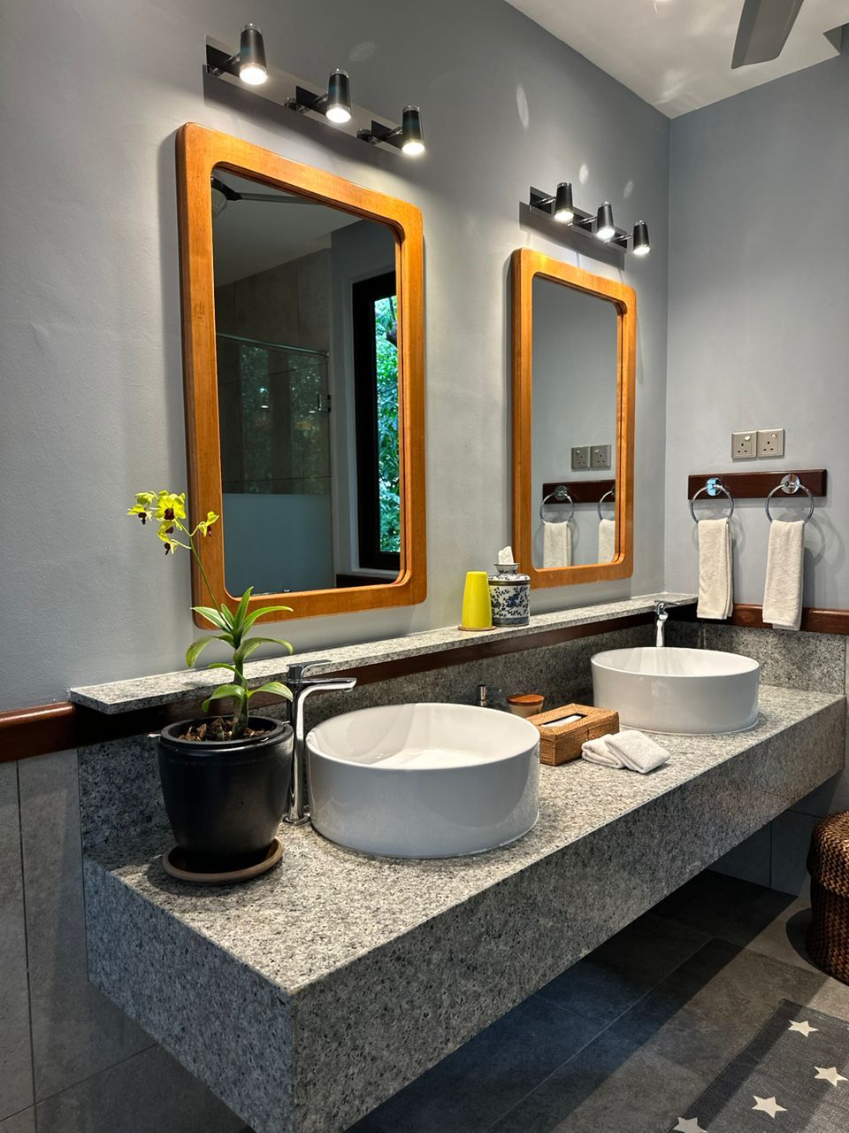 A modern bathroom with two sinks, a large mirror, and a potted plant.