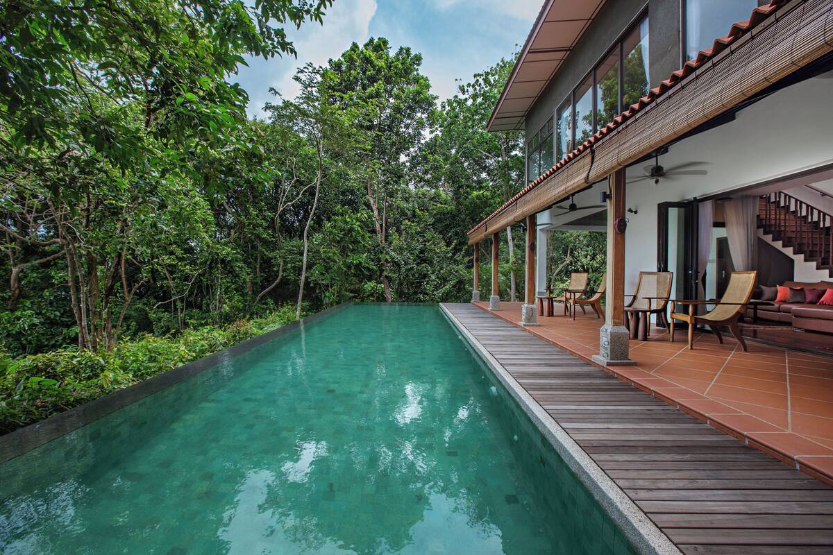 A swimming pool with a wooden deck, surrounded by lush greenery and trees.