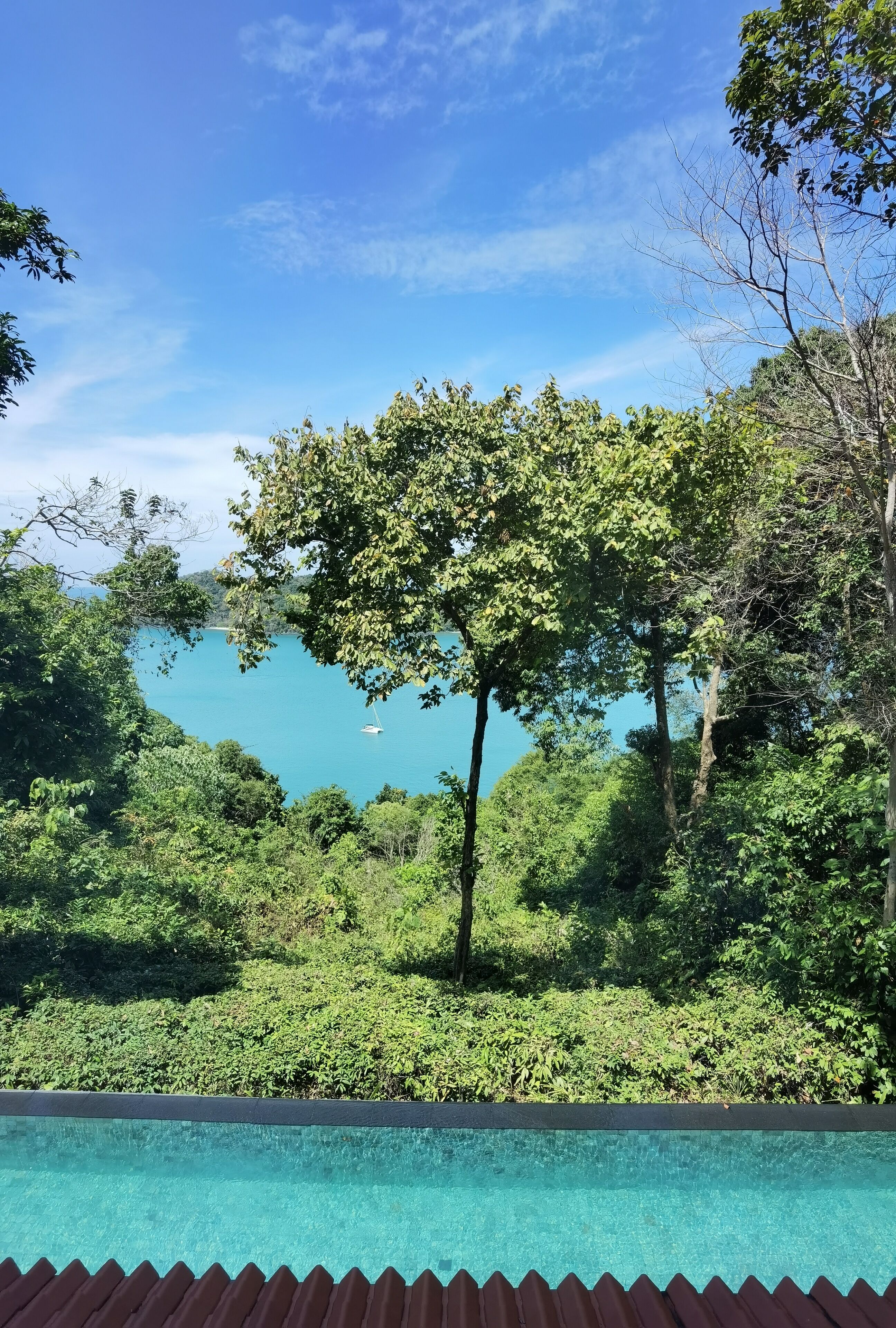 A pool with a view of a body of water and surrounding greenery.
