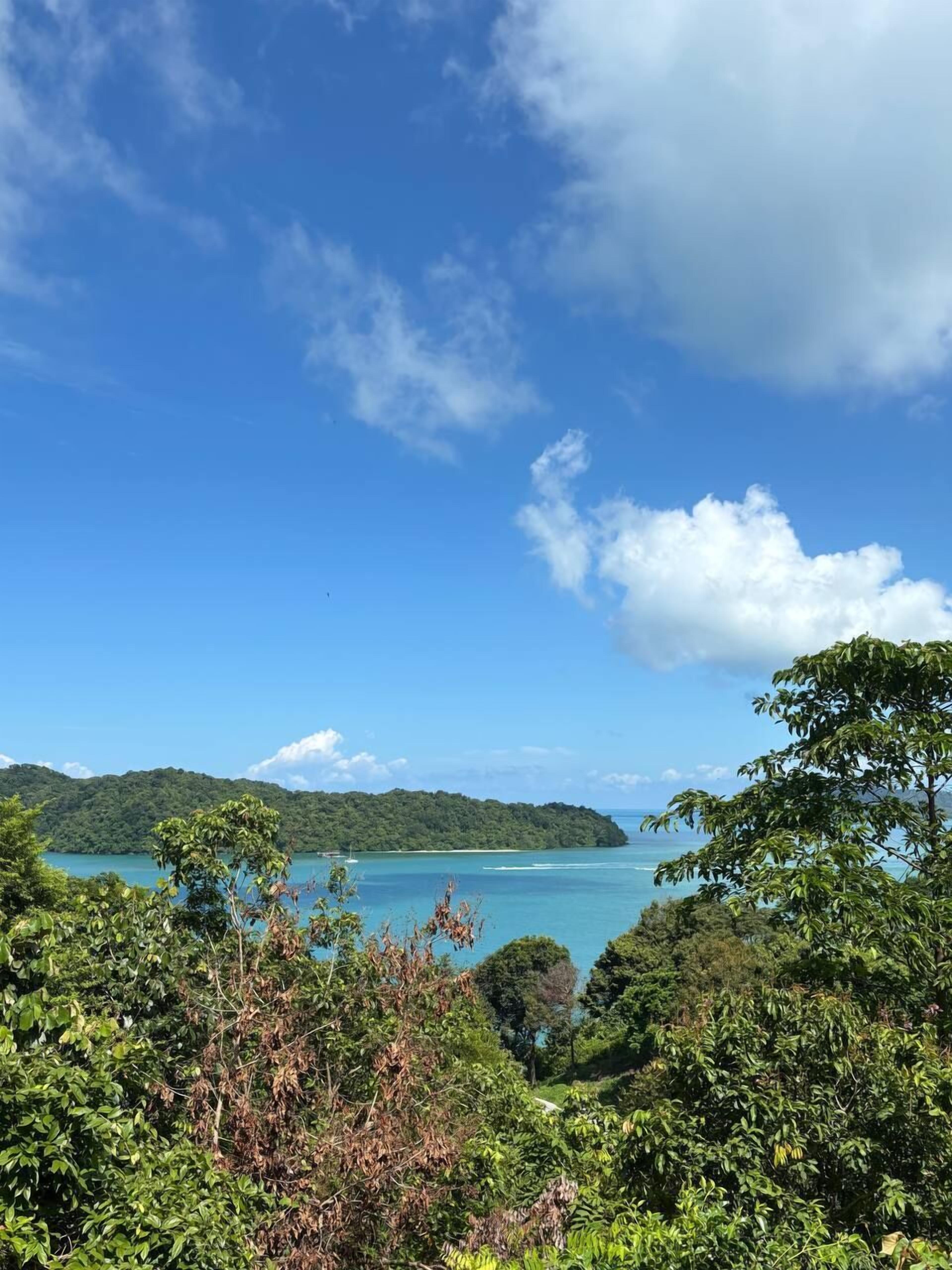 Un paisaje costero con una vista despejada del mar, abundante vegetación y colinas distantes.
