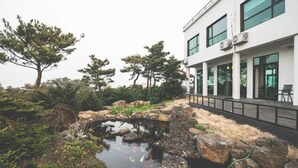 Un bâtiment moderne doté de grandes fenêtres et d’un chemin de pierre menant à un bassin où nagent des carpes koï.