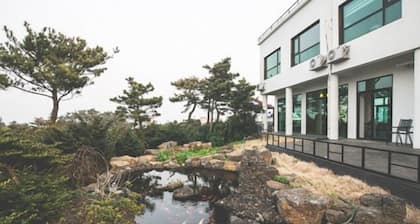 Ssaris Pension