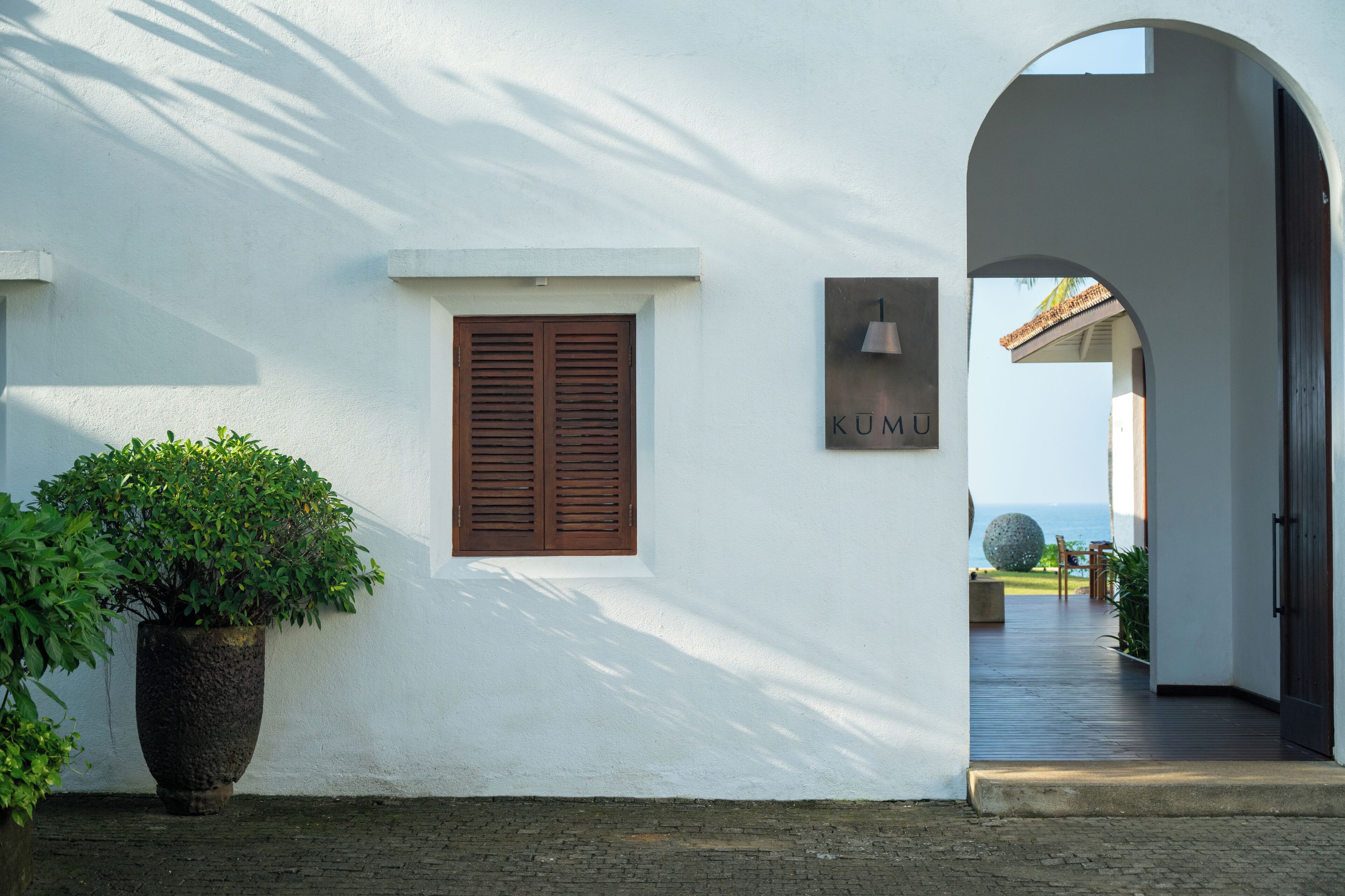 Un edificio blanco con una planta grande en maceta, una puerta de madera y un cartel que dice 