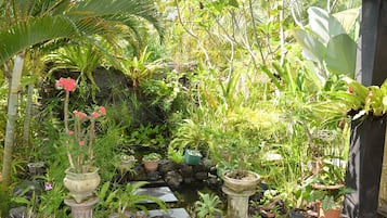 花園