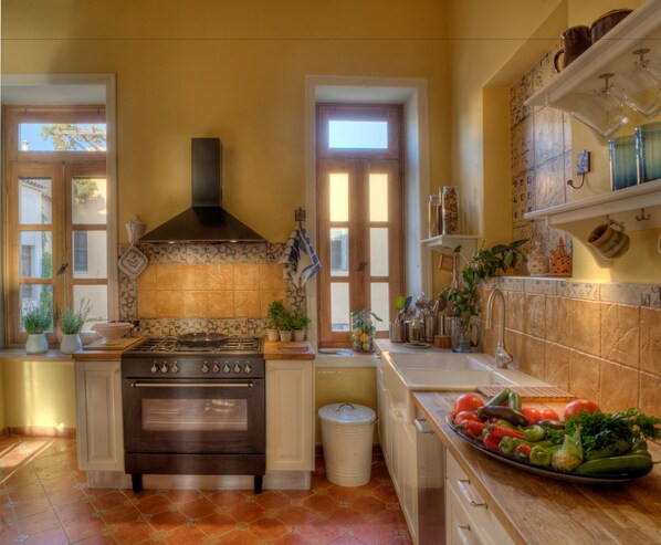 A kitchen with a stove, oven, and sink, with potted plants and a variety of vegetables on the counter.