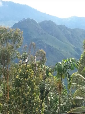 Mountain view - The Lover Stay (Ella)