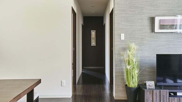 A modern living room with a dark wooden floor, a flat-screen TV, a potted plant, and a minimalist design.