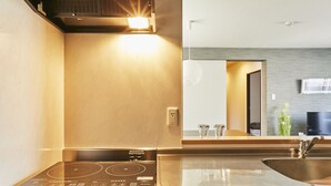 A modern kitchen with a built-in induction cooktop, a stainless steel sink, and a mirror above the countertop.