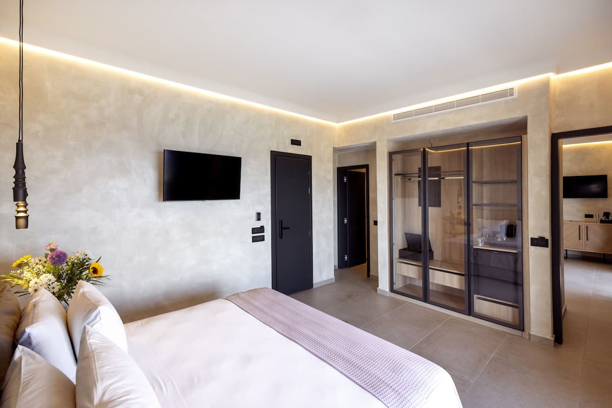 A modern hotel room with a large bed, a flat-screen TV, a wardrobe, and a shower area.