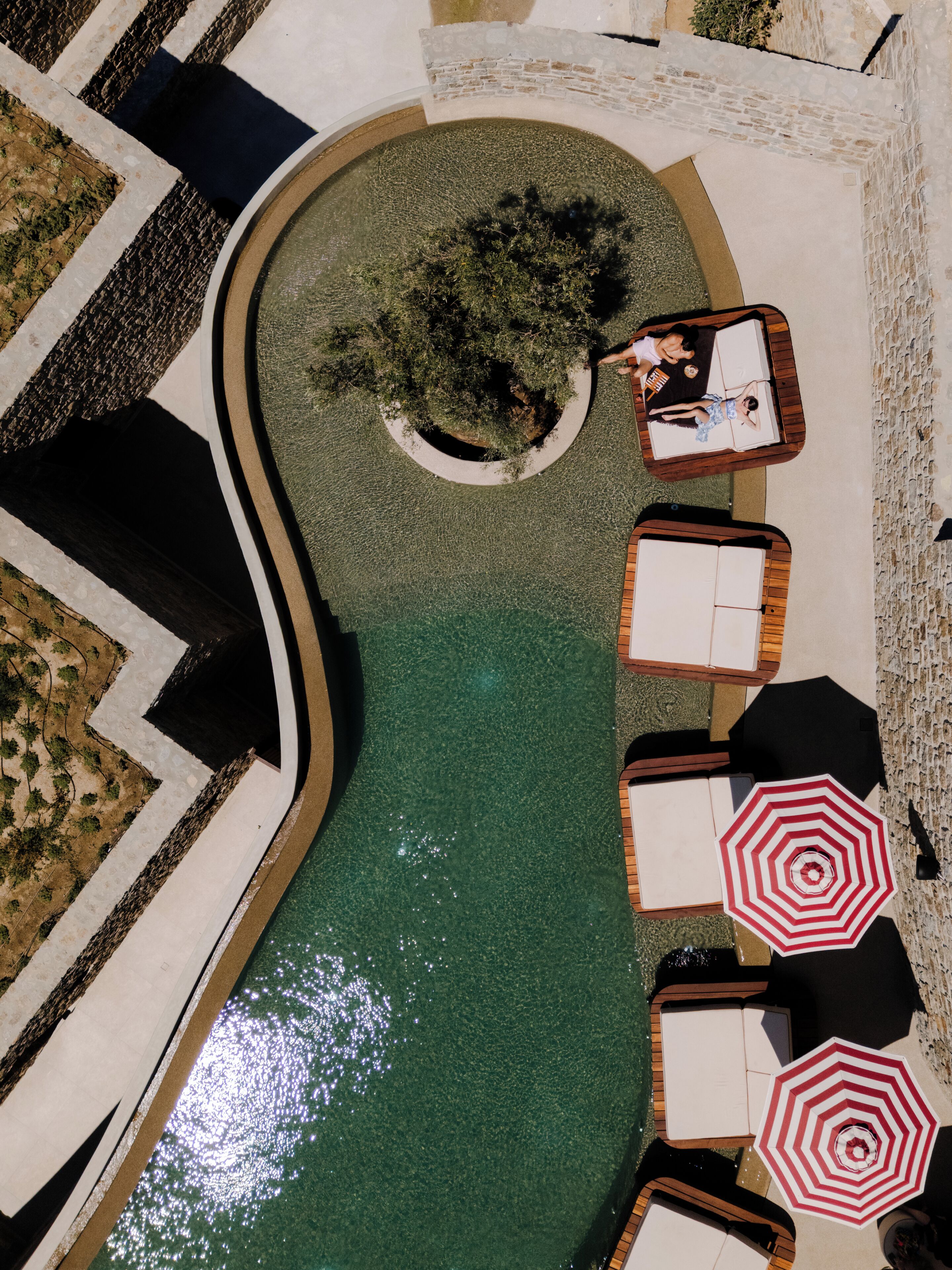 Vue aérienne d’un espace piscine avec des chaises longues et des parasols, entouré d’un jardin aménagé et d’un mur en briques.