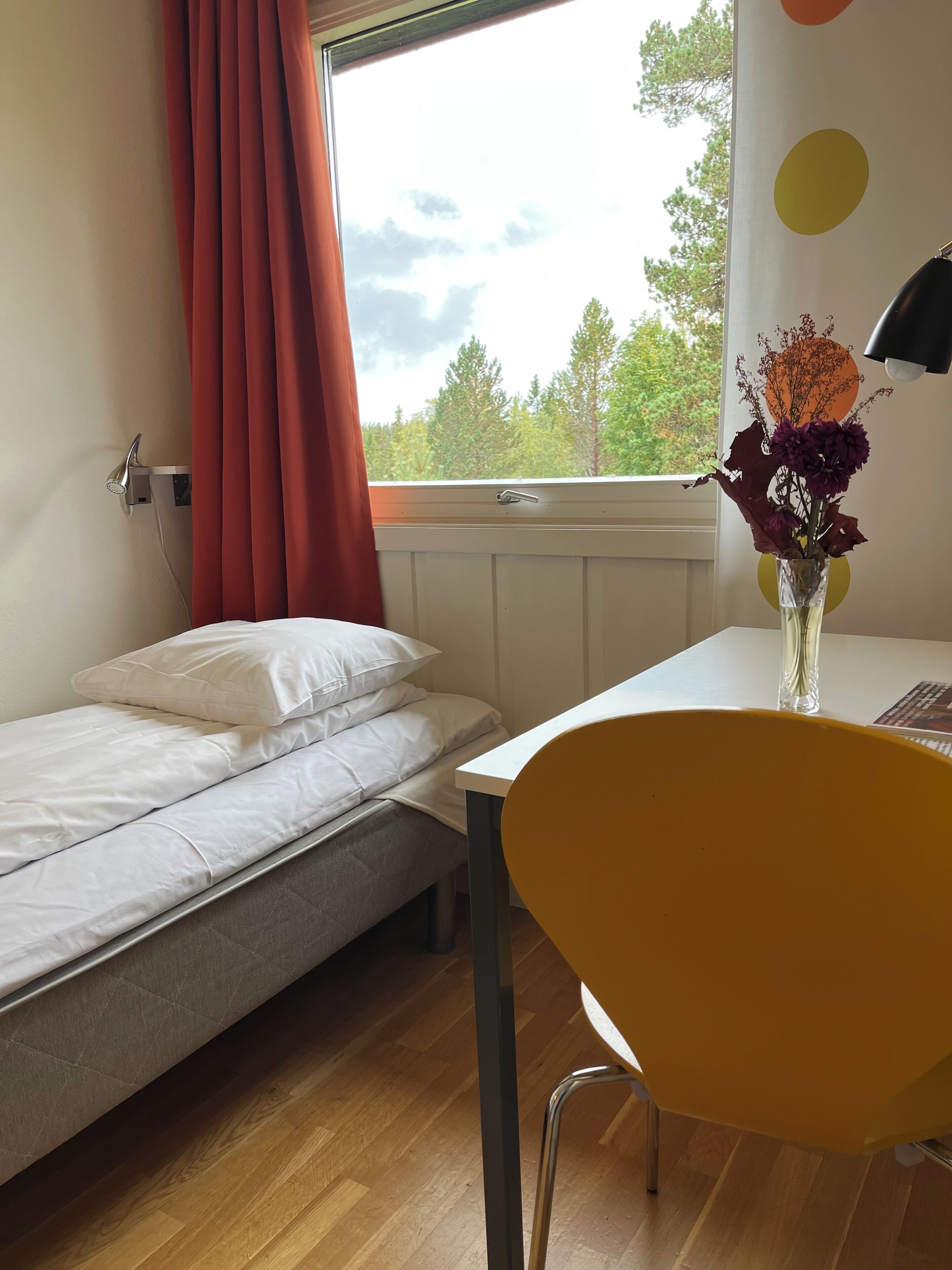 basic single room | hypo-allergenic bedding, desk, blackout curtains, iron/ironing board