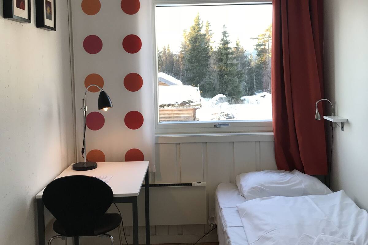 A room with a bed, a desk with a chair, a window with curtains, and a radiator.