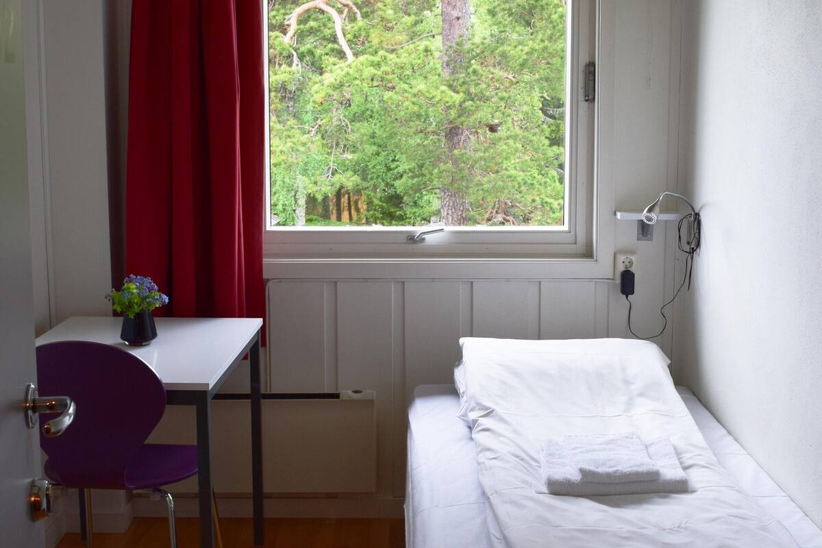 Basic Single Room | Hypo-allergenic bedding, desk, blackout curtains