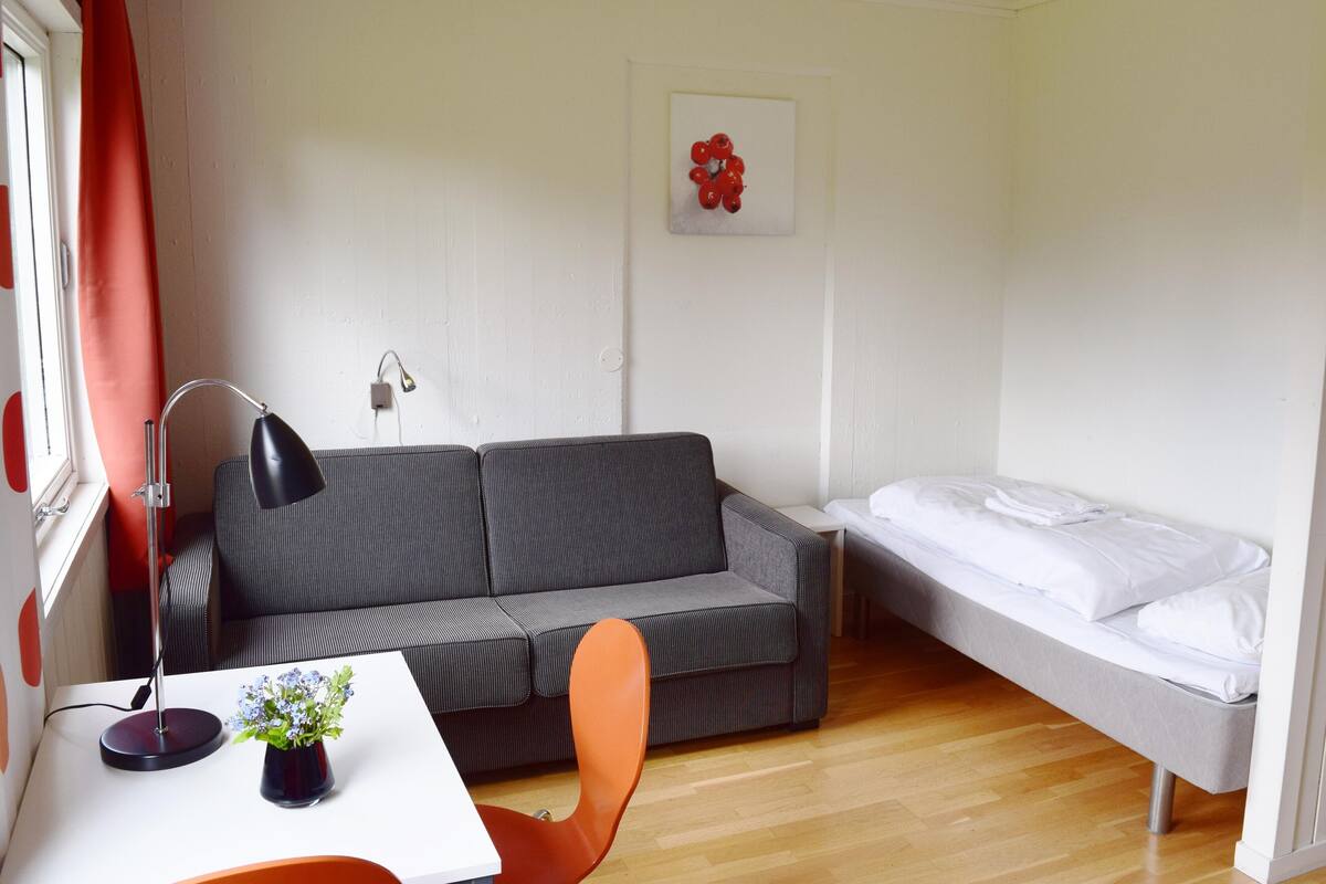 Comfort Single Room | Hypo-allergenic bedding, desk, blackout curtains